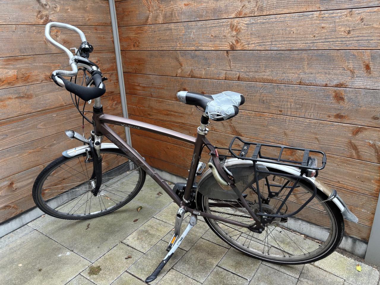 Gazelle Fuente herenfiets