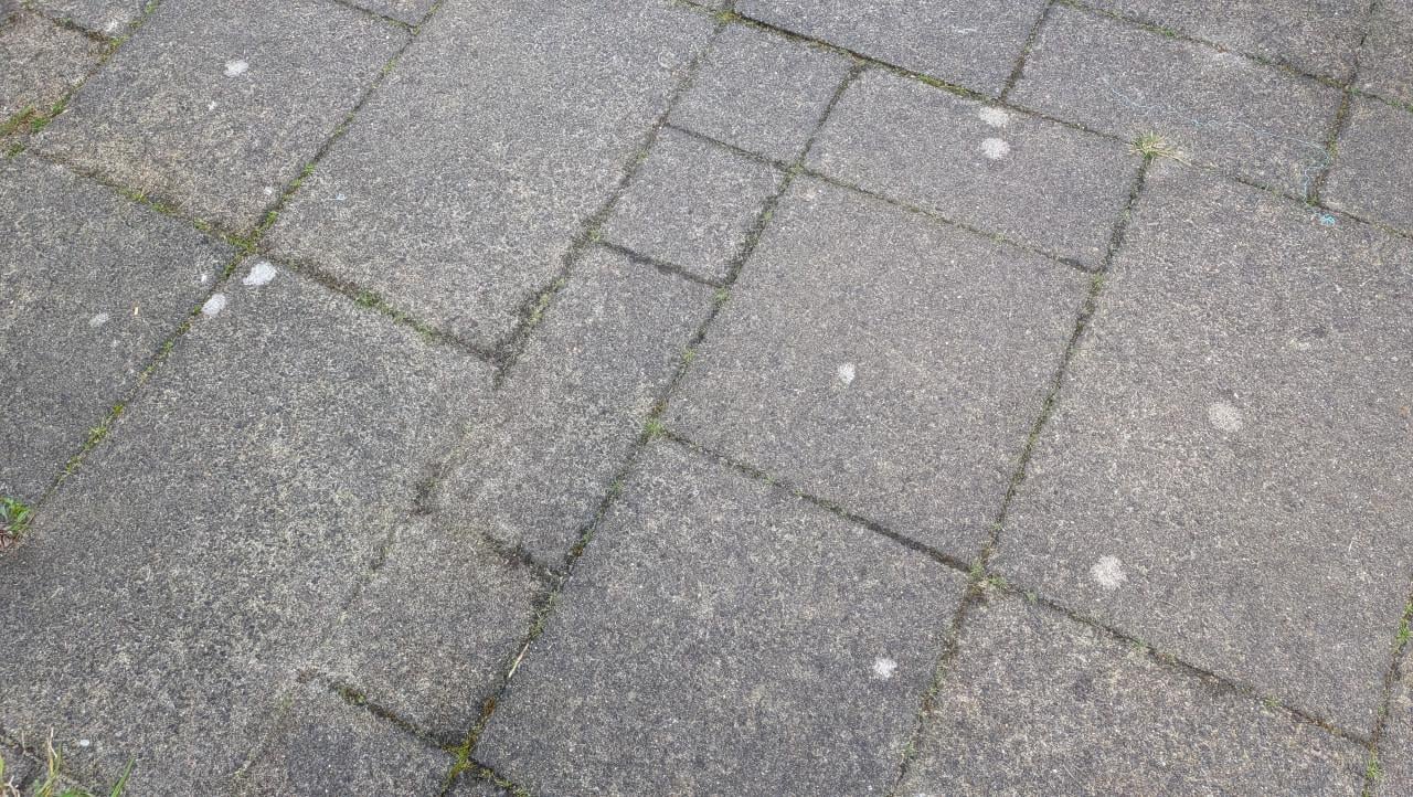 Gratis wildverband tuin tegels 40m2