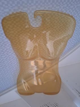 Torso s