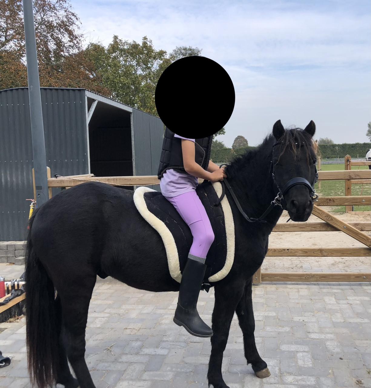 Lieve 5 jarige pony ruin