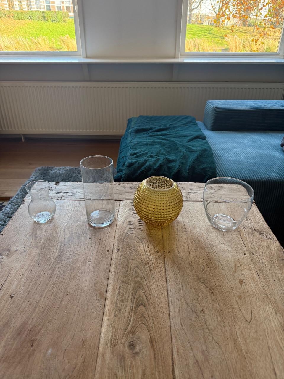 Glazen vazen in diverse vormen en groottes