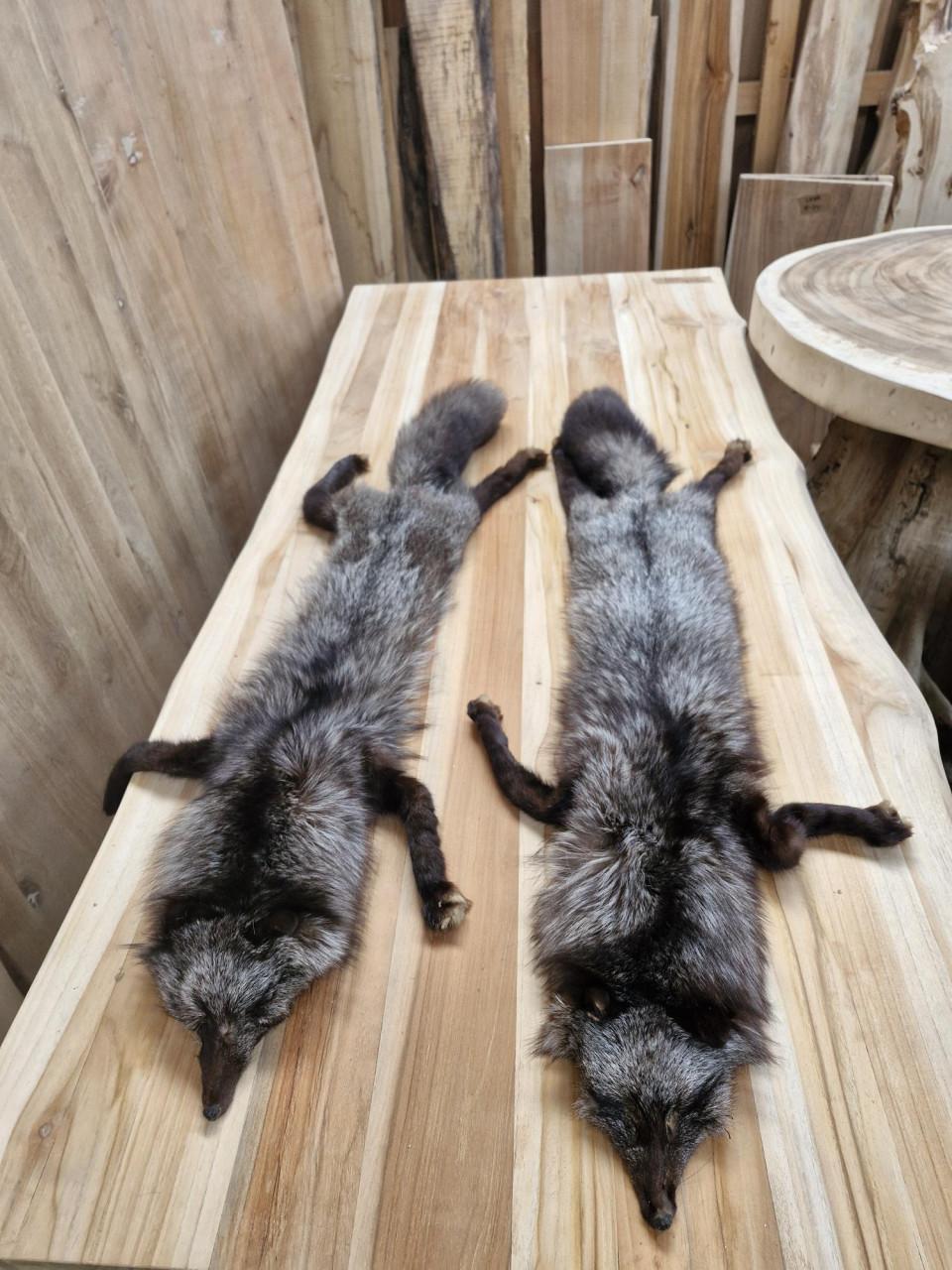 Zilvervos pels decoratie