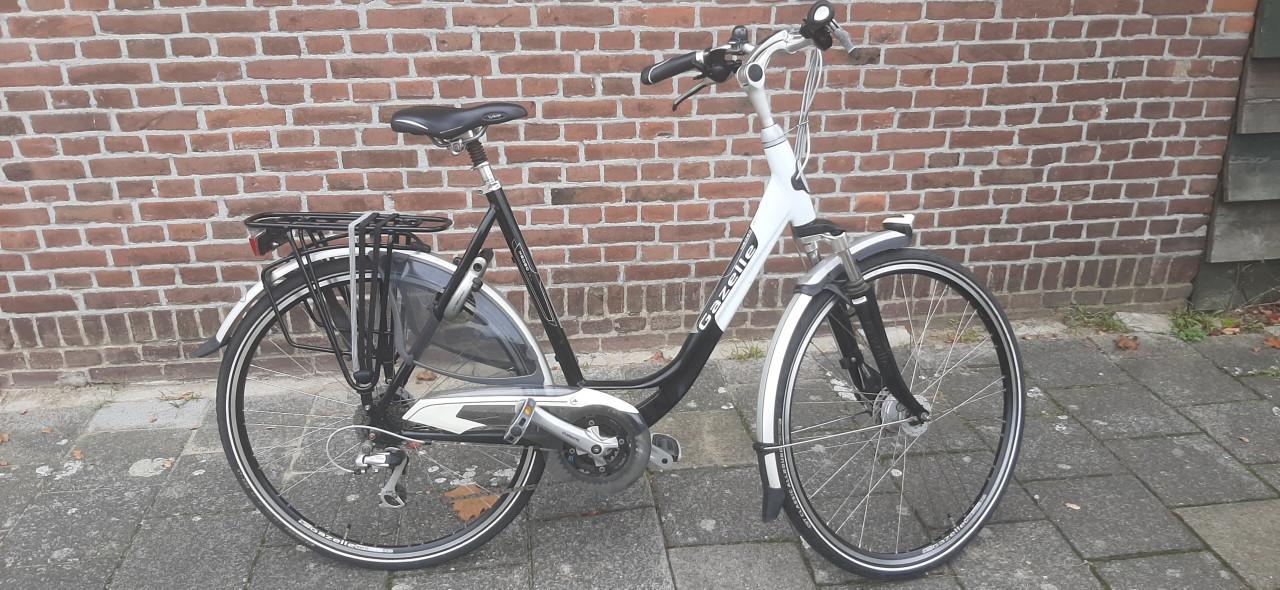Gazelle Medeo