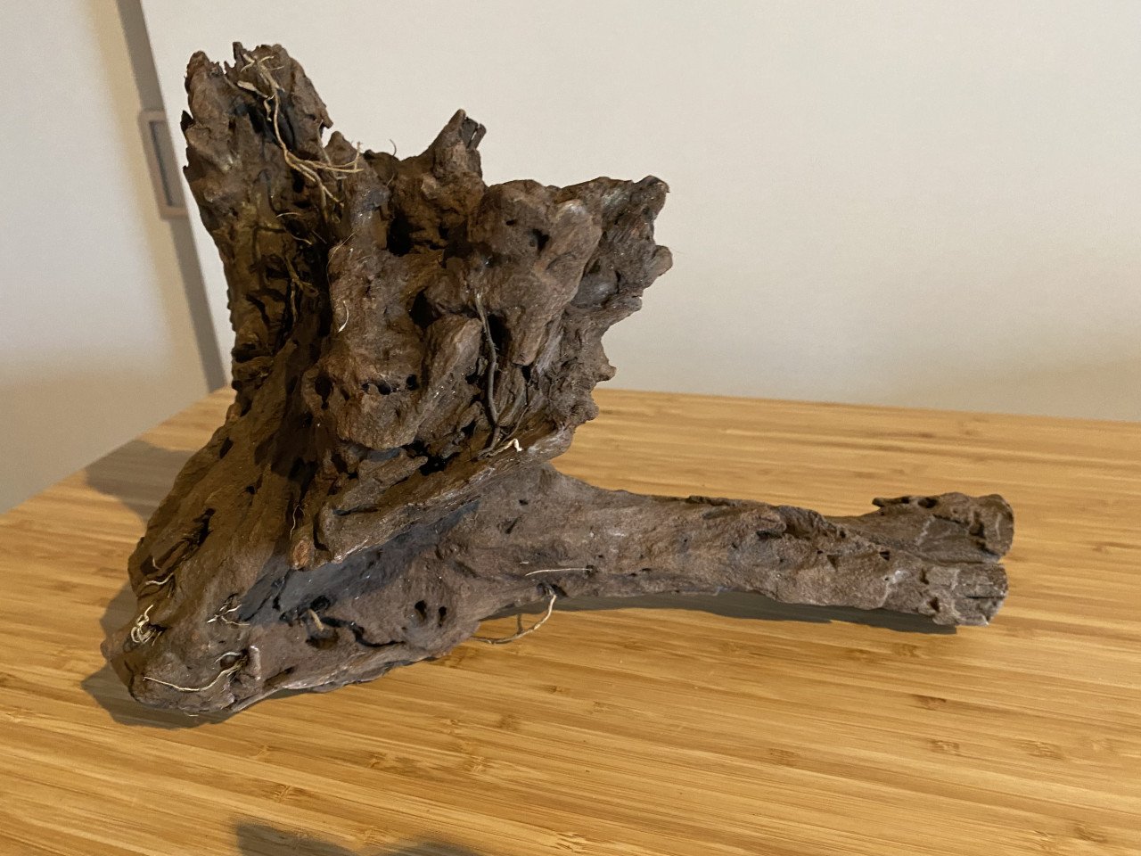 Mangrove hout voor aquarium