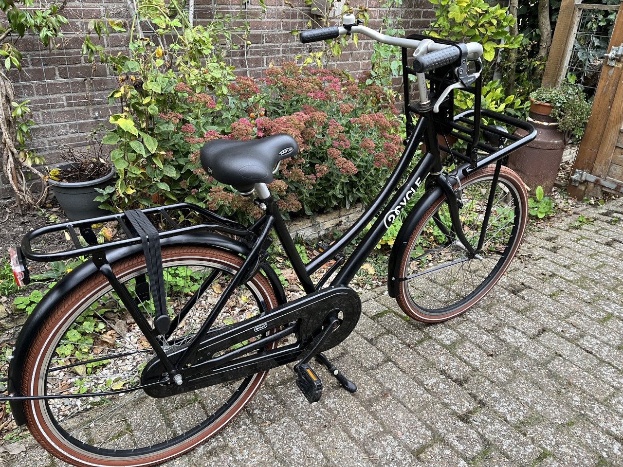 Opoe fiets Frame 46cm (150-168cm) Erg netjes en ok.