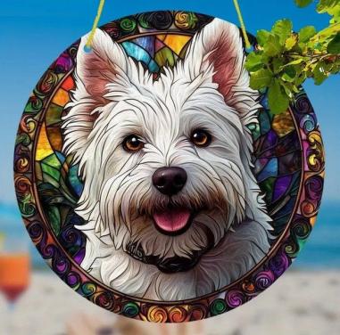 Raamhanger Yorkshire terrier - westie
