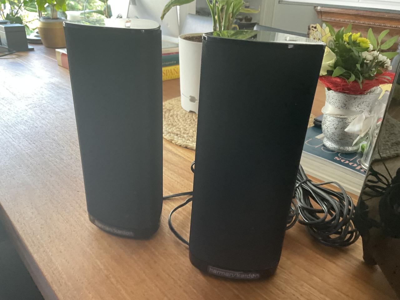 Harman kardon subwoofer met 2 luidsprekers
