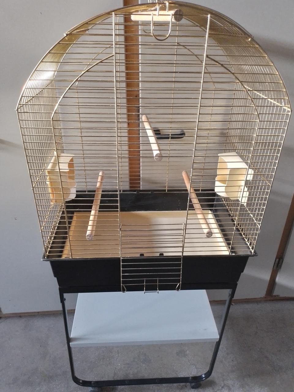 Jonge Edelpapegaai met kooi