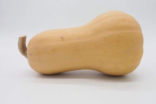 Flespompoen plantje