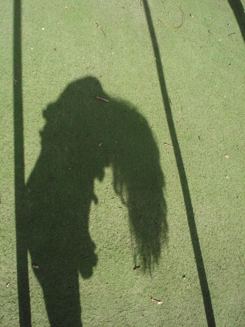 Fotoworkshop (groot) ouder en kind