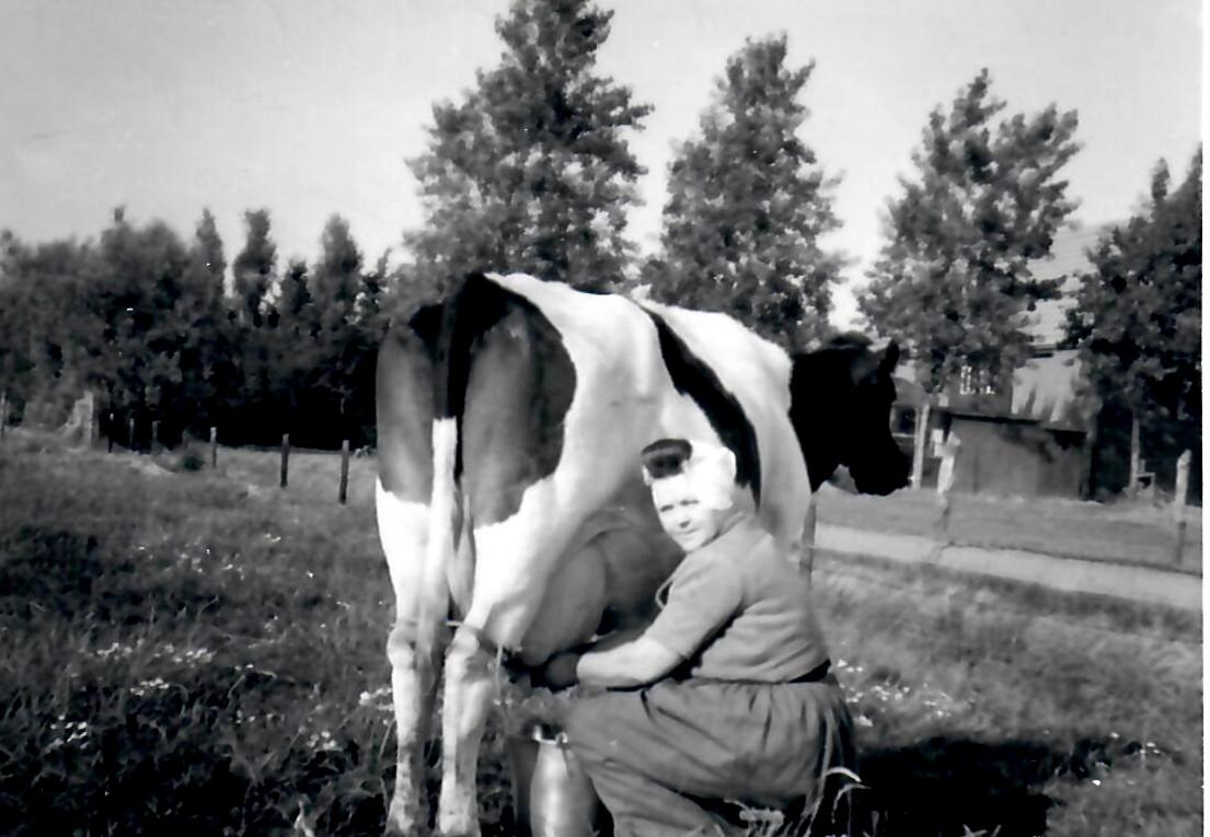 Nieuw- en Sint Joosland fotoboek nog 1 ex.!