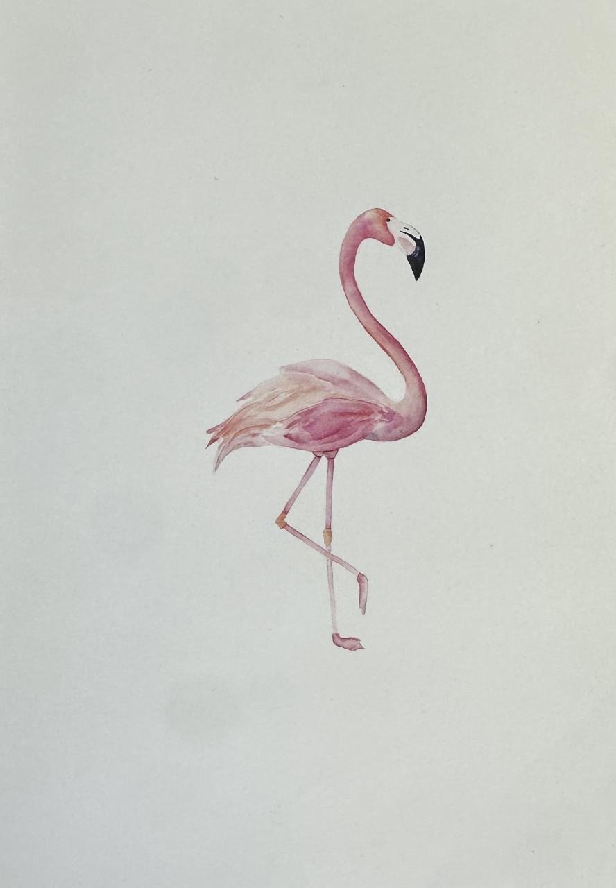 Vijf posters (wereldkaart, flamingo, bloem en quotes)