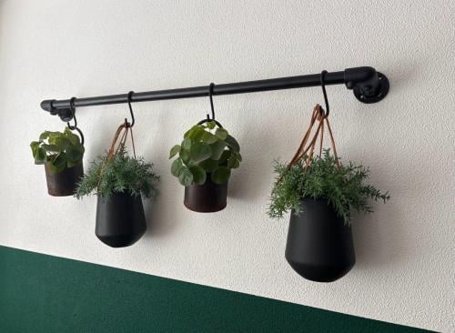 Zwarte metalen wandstang met hangende plantenpotten