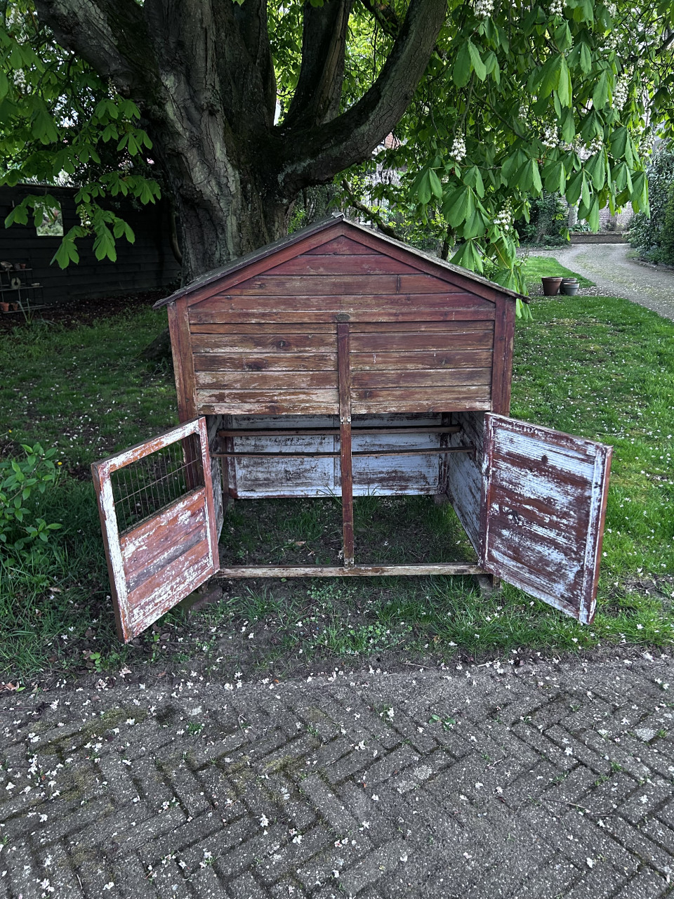 Kippenhok groot