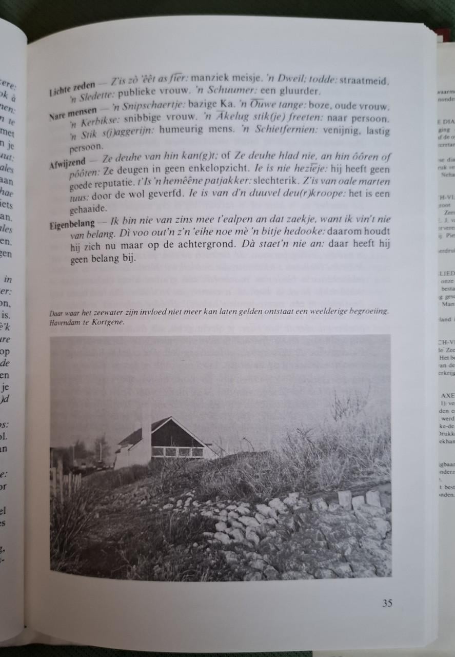 Dialect op Noord-Beveland, door E.J. van den Broecke-de Man en A. Francke