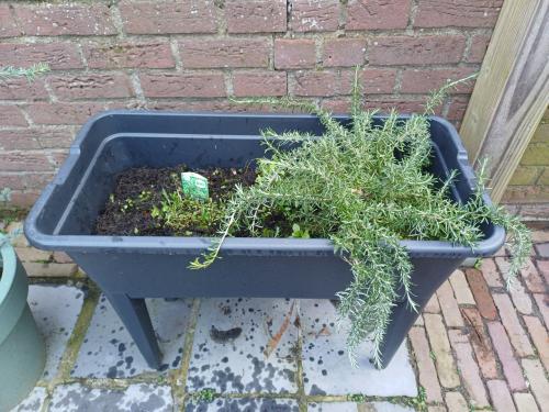 Als NIEUW: KWEEKTAFEL met deksel en ventilatieregelaar (2x)