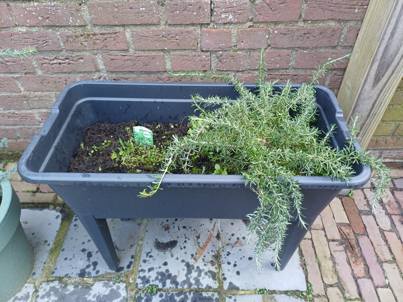 Als NIEUW: KWEEKTAFEL met deksel en ventilatieregelaar (2x)