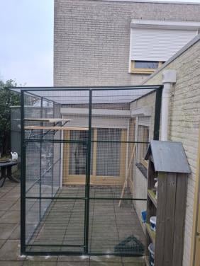 Kattenrennen in elke gewenste maat.....