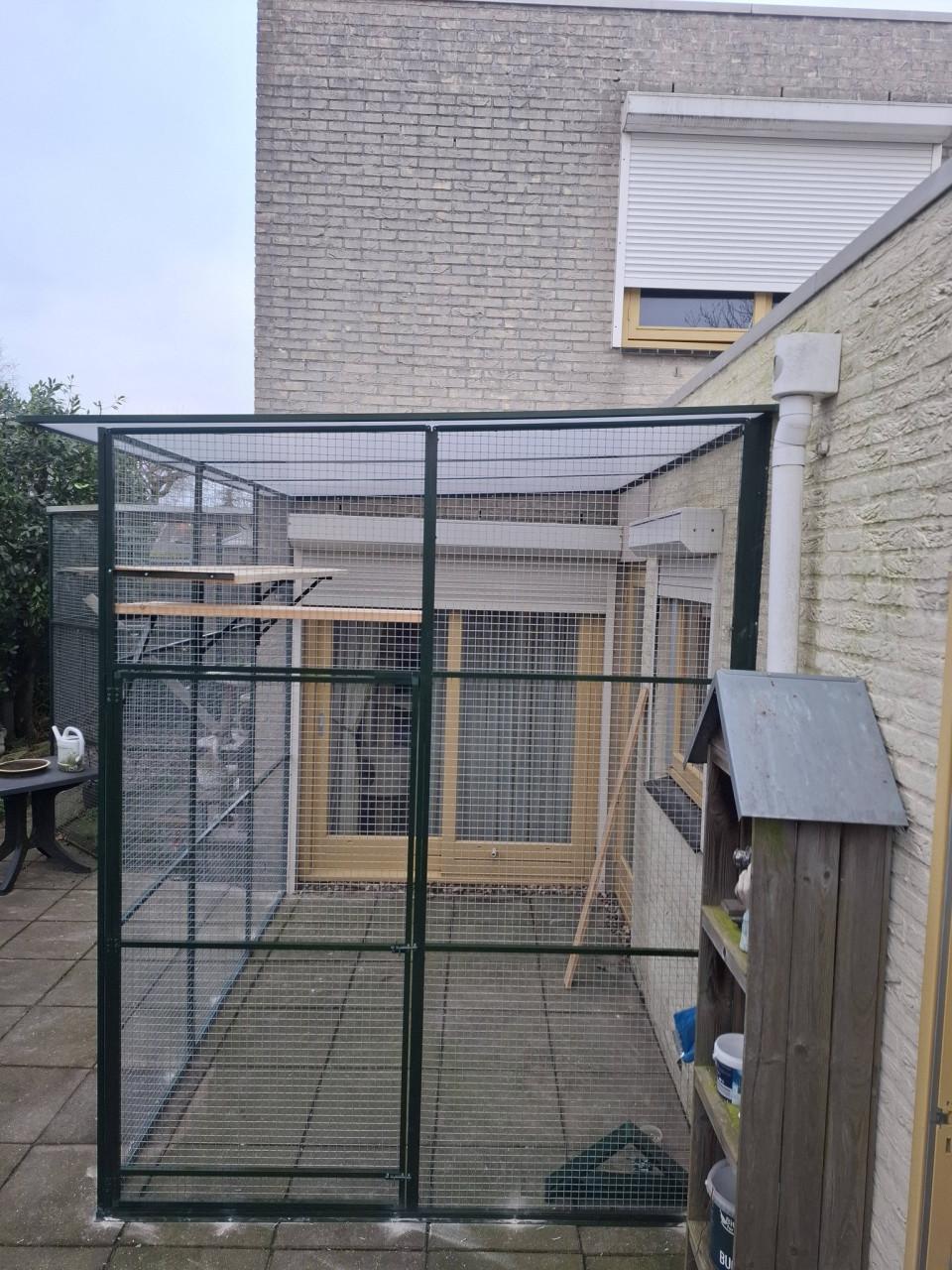 Kattenrennen in elke gewenste maat.....