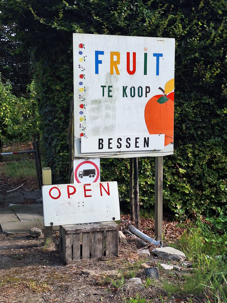 Nieuwe oogst fruit