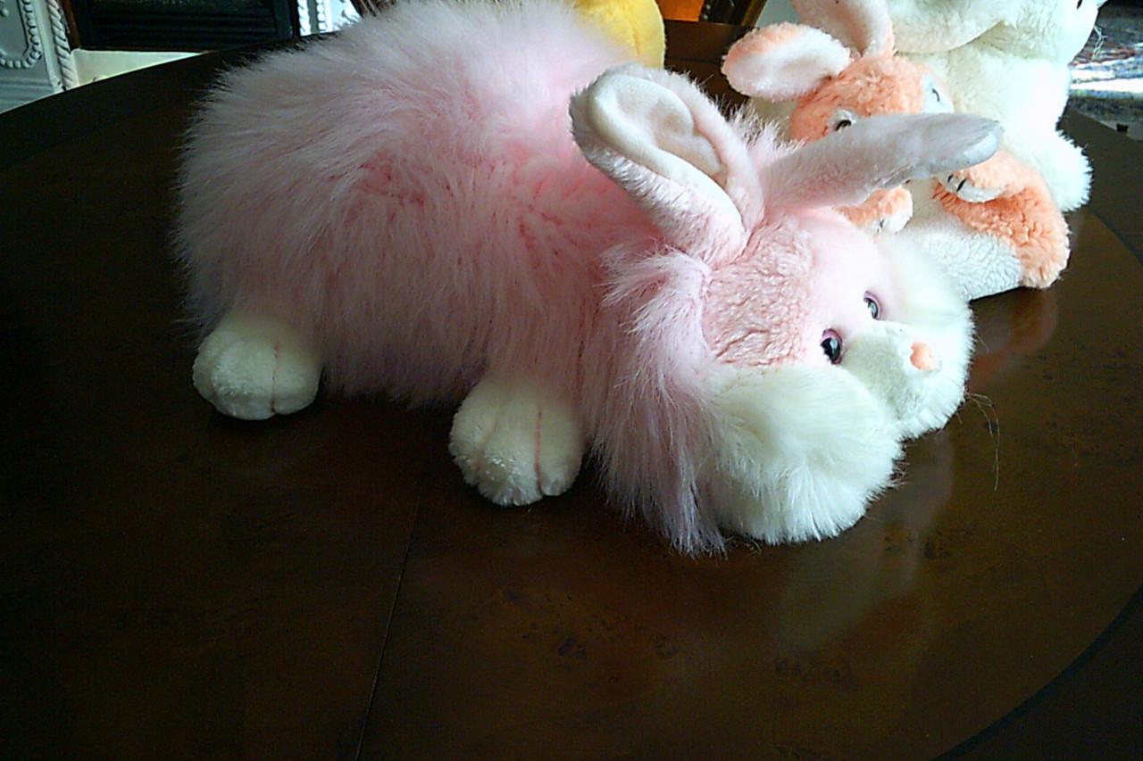 VIER nieuwe knuffels.