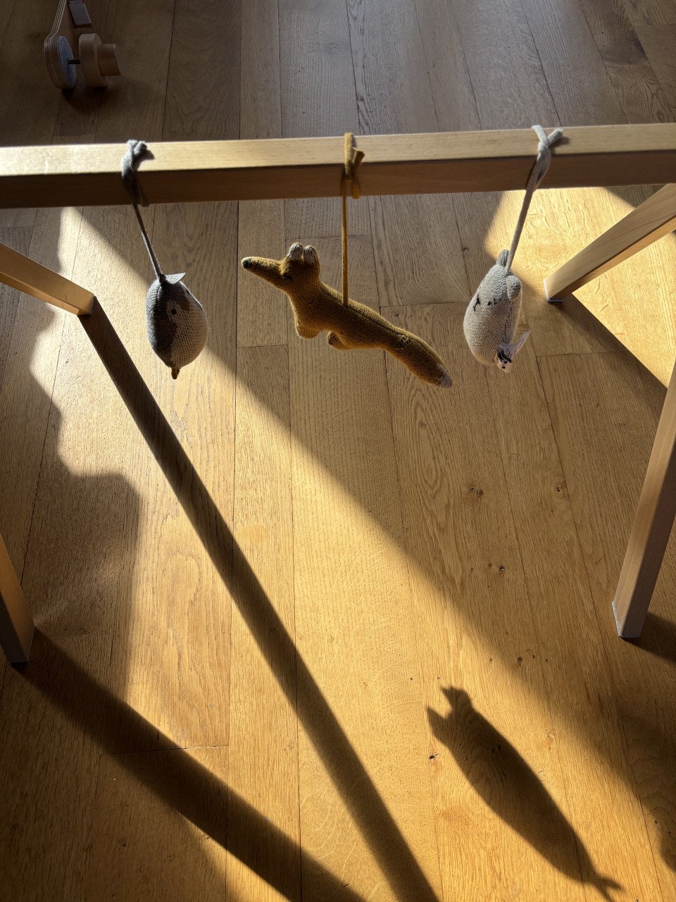 LieWood babygym, speelbalk diertjes