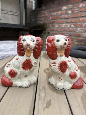 Staffordshire honden