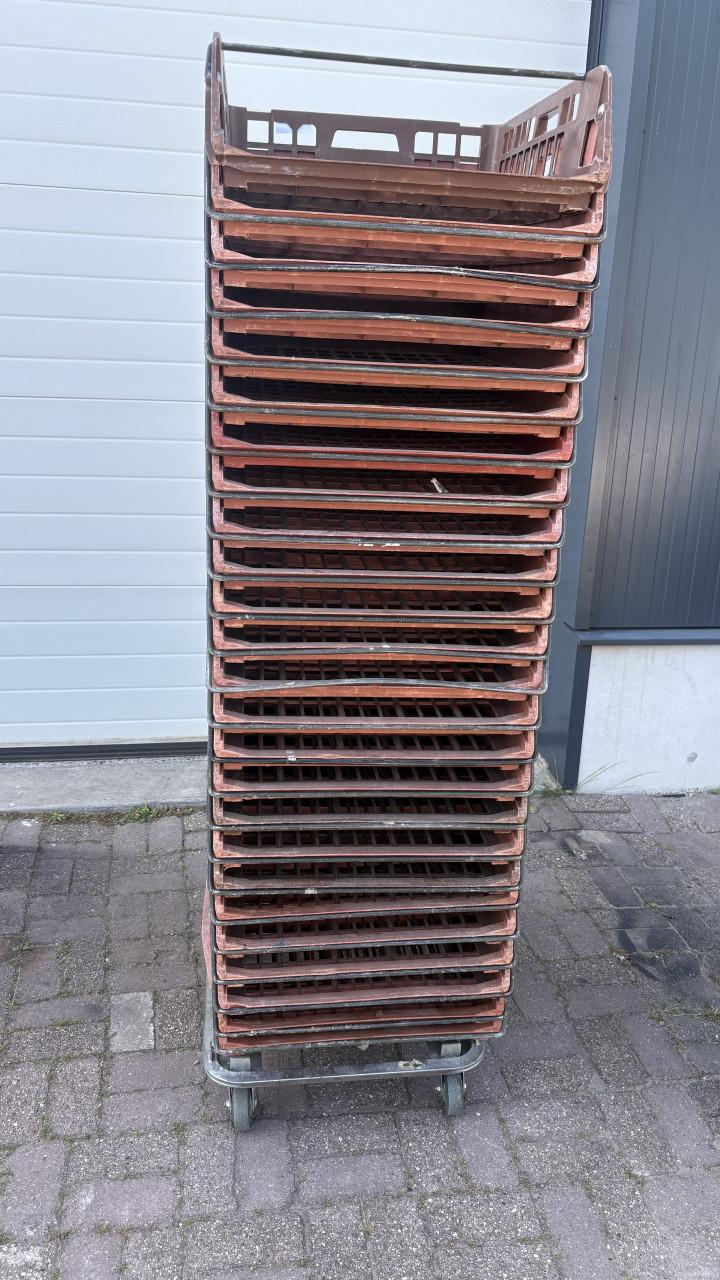 Broodkratten