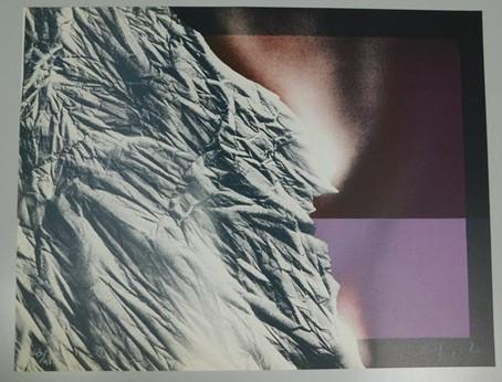 Schilderijen van Vincent Mengin-Lecreulr