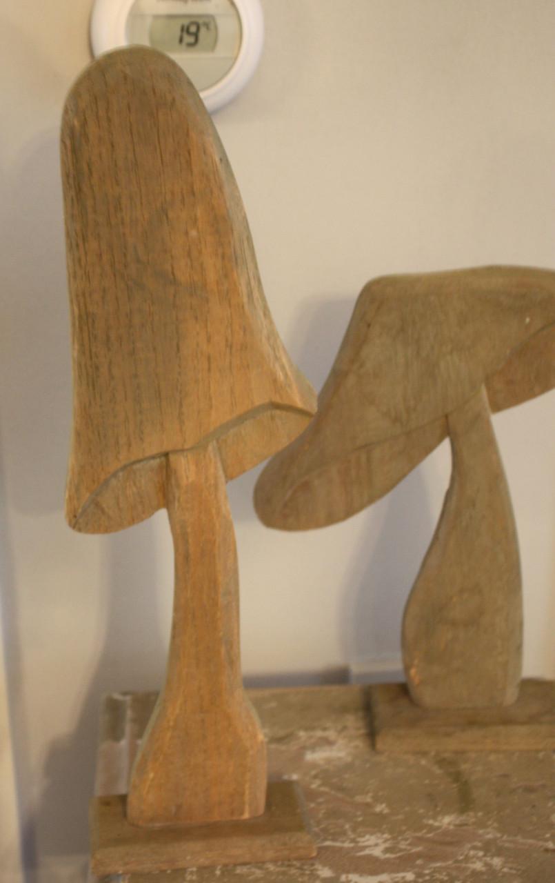Set van 2 houten paddenstoelen