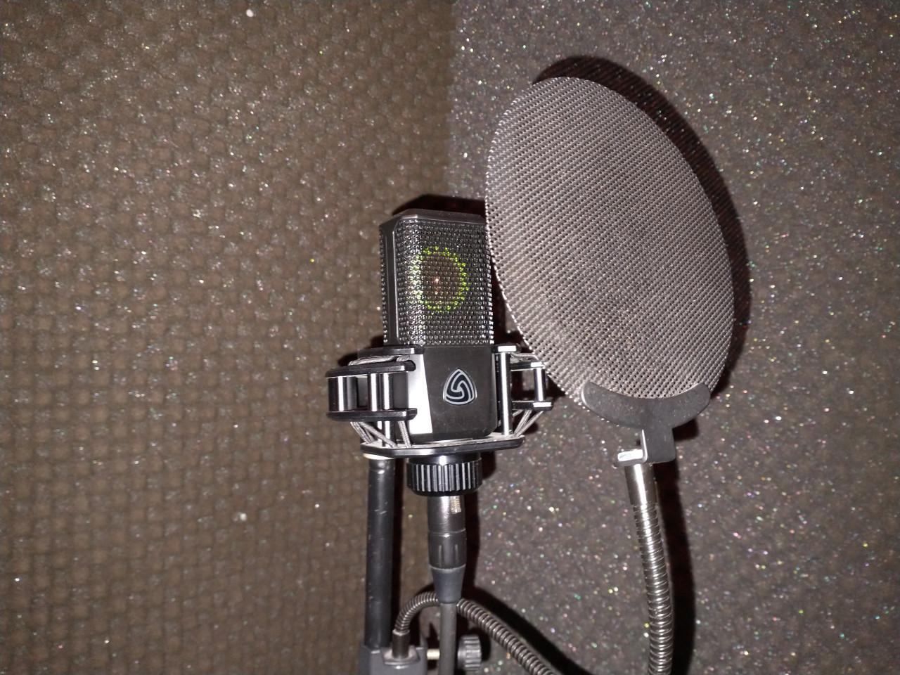 Professioneel een song opnemen maar heb je een klein budget?