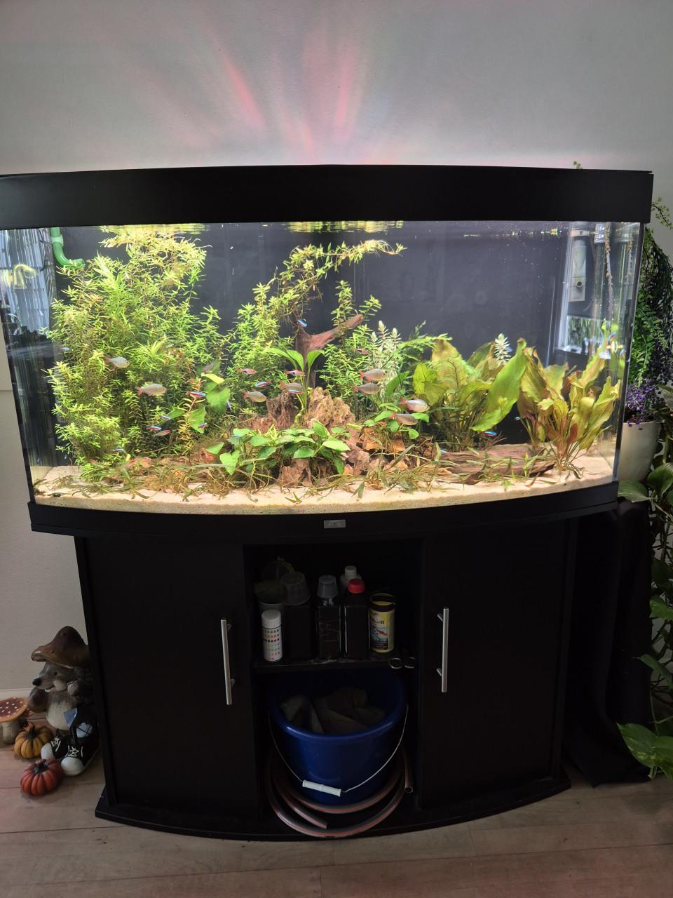 Juwel helialux spectrum 1200