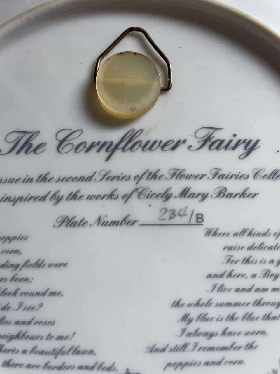 Wandborden 4 stuks flower fairies collection