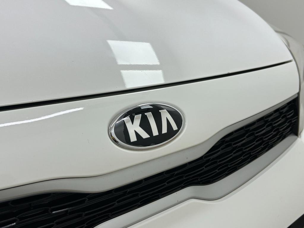 Kia Picanto occasion 1.0 cvvt economyplusline | wit | tweedehands kia pican