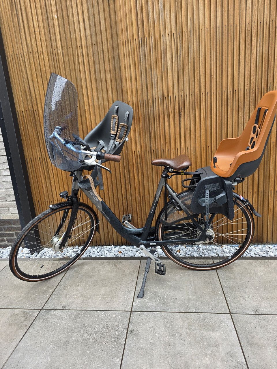 Gazelle Orange C8 unisex z.g.a.n.