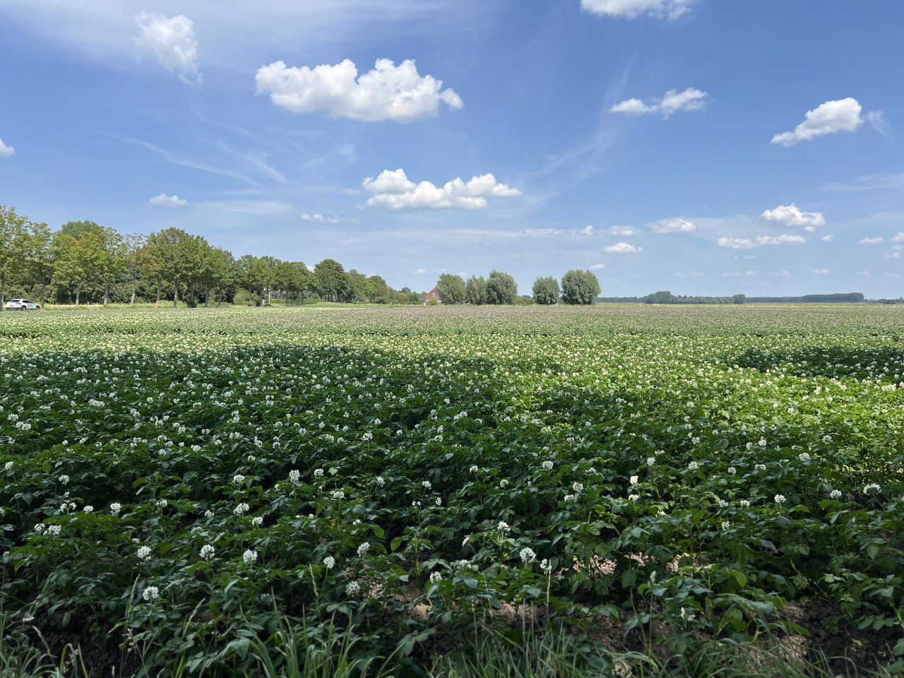 Landhuis buitengebied Axel
