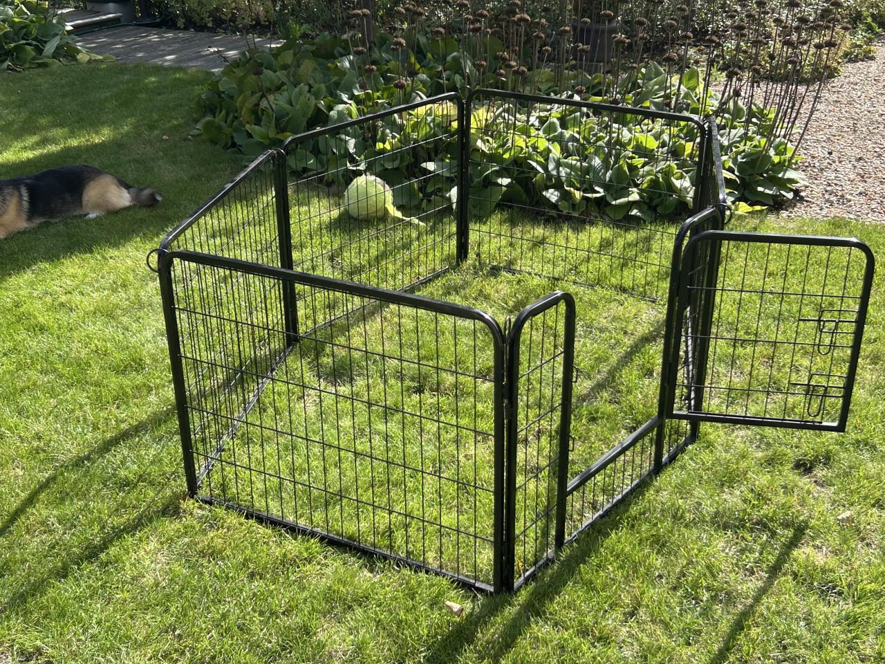 Hondenren