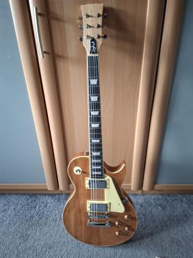 Gitaar les paul model