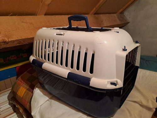 Katten reismand