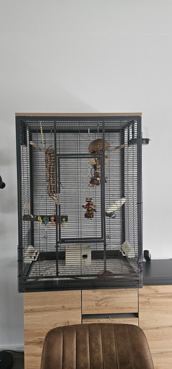 Koppeltje Agaponis fishiries met kooi