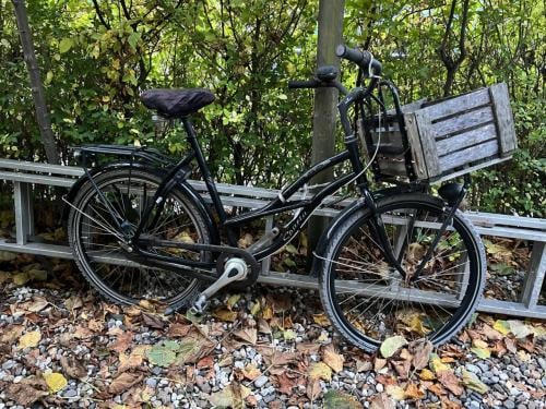 Sparta Bull Bullet damesfiets met transportkist