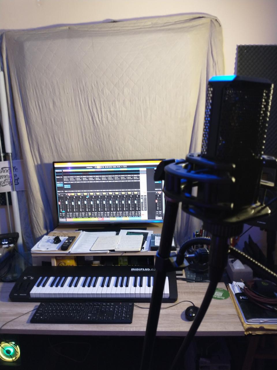 Professioneel een song opnemen maar heb je een klein budget?