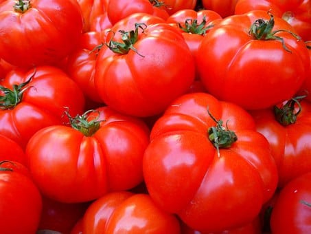 Biologisch groente/fruit/bloemen kweken in Middelburg