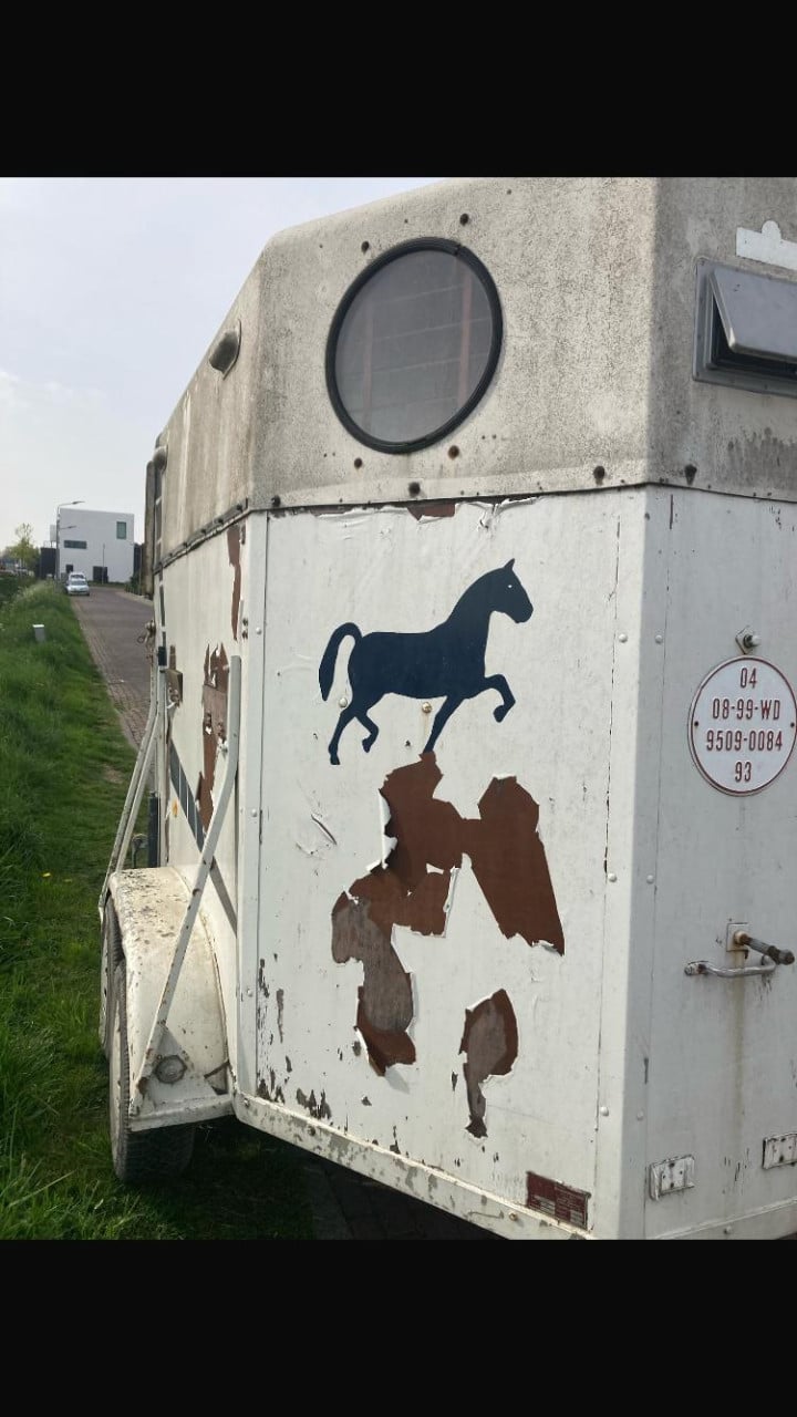 Veewagen 2 paards | met kenteken