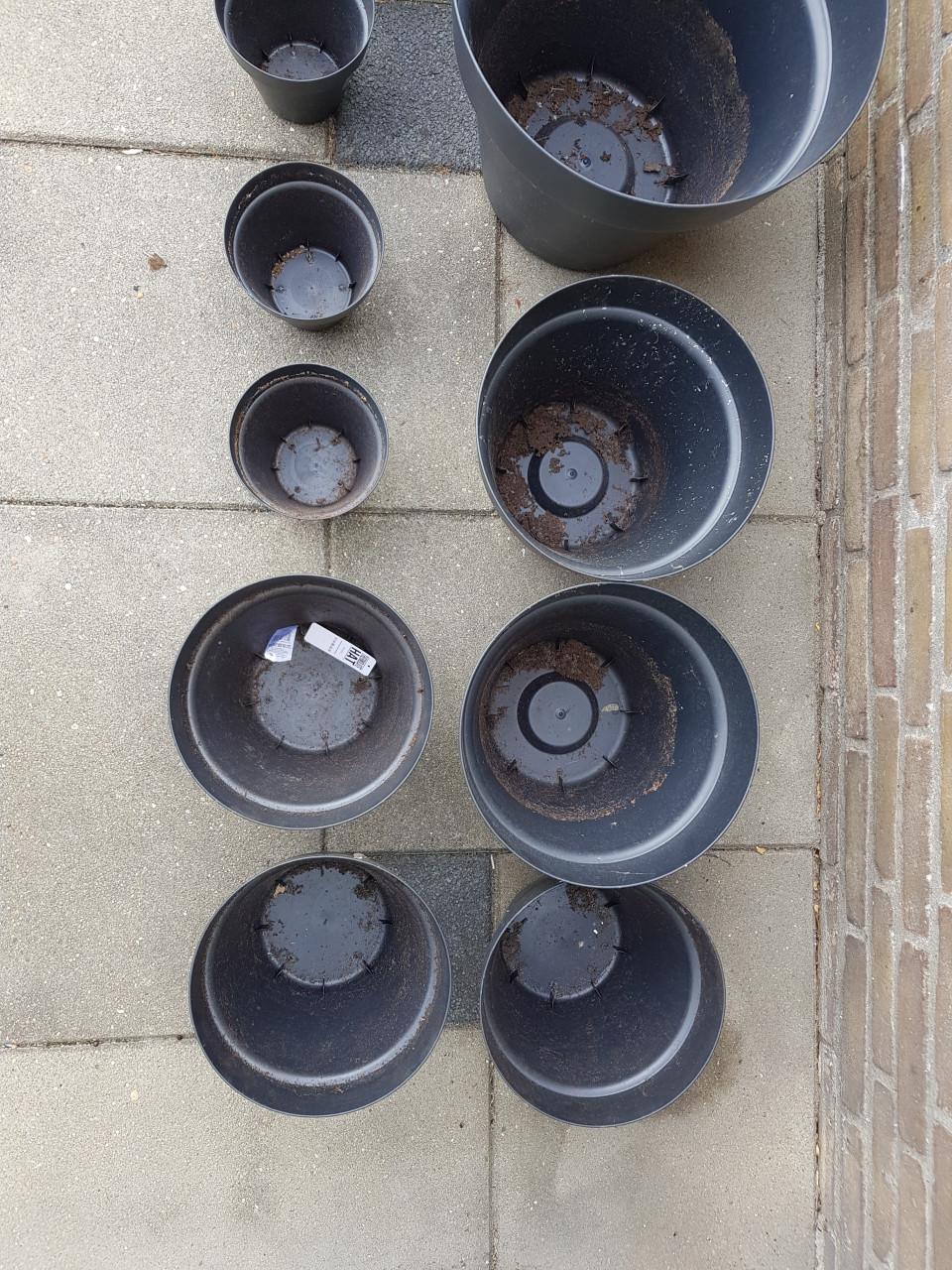 12 bloempotten