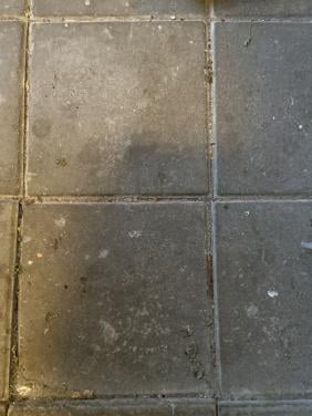 Stoeptegels