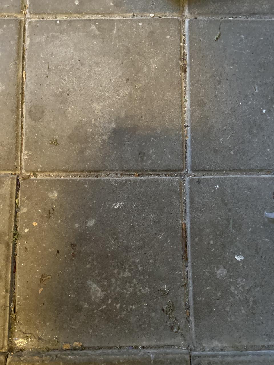 Stoeptegels