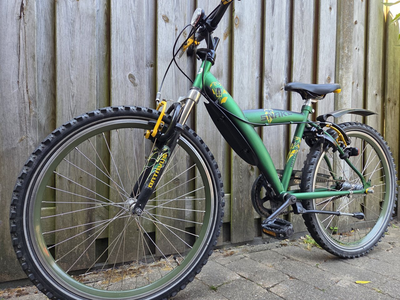 Batavus Snake 24 inch met 3 versnellingen