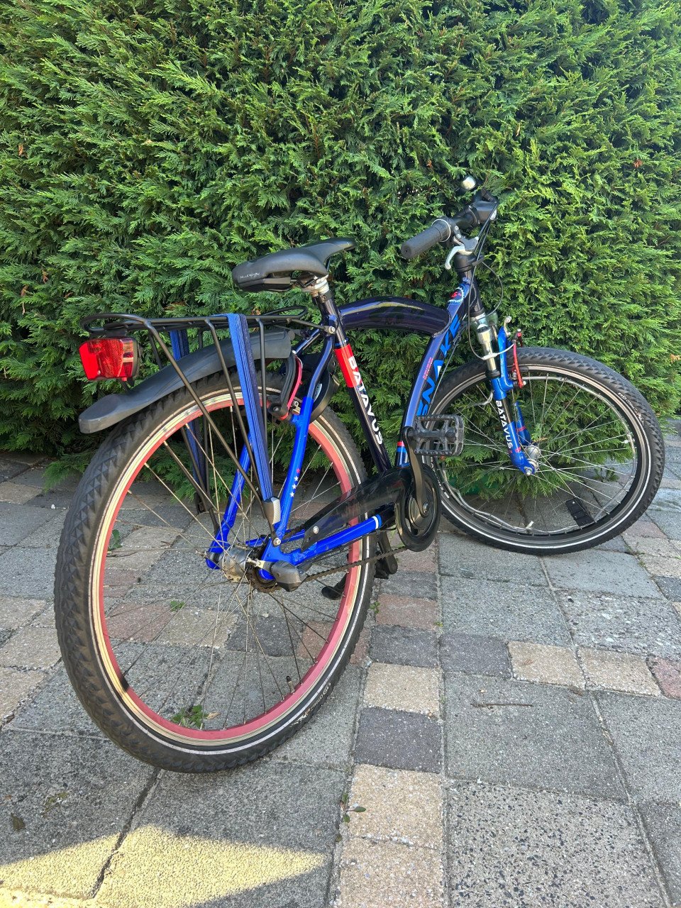 Batavus snake 26inch