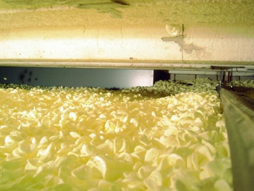Wie heeft ervaring met isolatiechips in kruipruimte aanbrengen